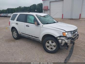  Salvage Ford Escape