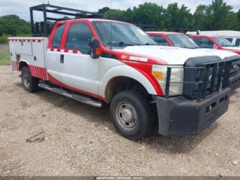  Salvage Ford F-250