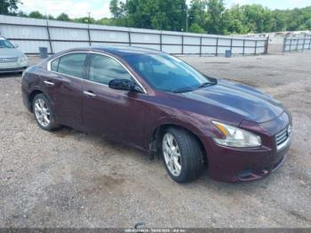  Salvage Nissan Maxima