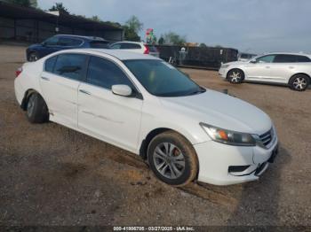  Salvage Honda Accord