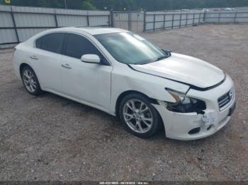  Salvage Nissan Maxima