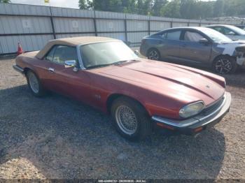  Salvage Jaguar Xjs