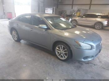  Salvage Nissan Maxima