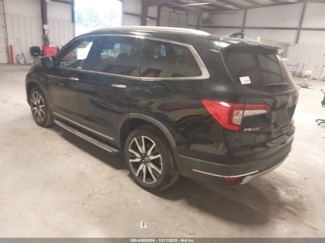 Honda Pilot Elite Image 13