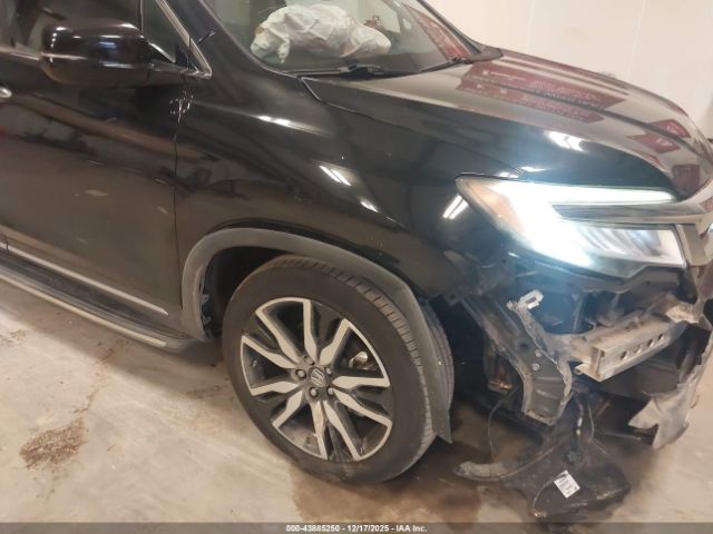 Honda Pilot Elite Image 4