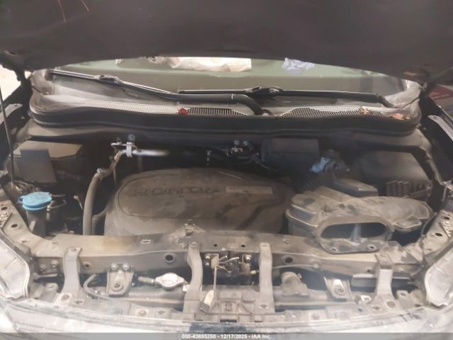 Honda Pilot Elite Image 6