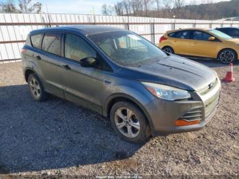 Salvage Ford Escape