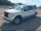 Ford F-150 Image 5