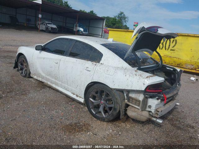 Dodge Charger Gt Rwd Image 6